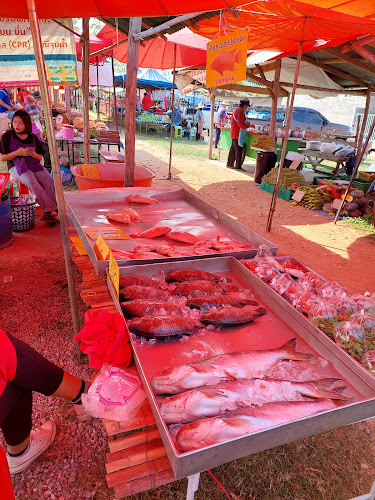 ช้างระยองปลาสด - อำเภอเมืองกำแพงเพชร