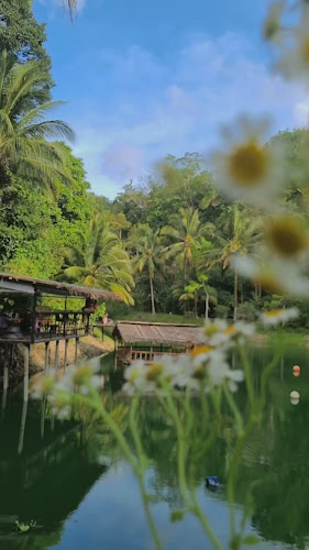 Opinii despre Sea Sky Cafe' în อำเภอกะทู้ - การบริการอาหารและที่พัก