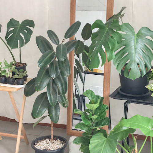 Comentarii opinii despre Sunset Gelato แสนสำราญ