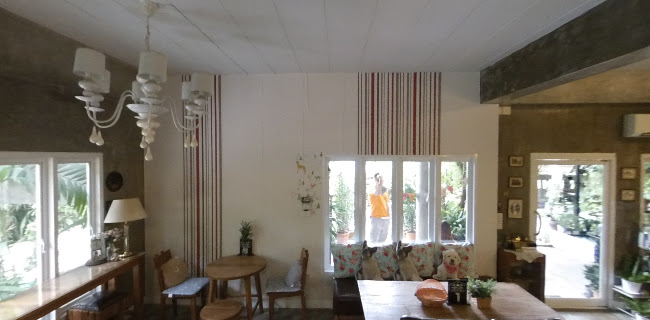 147/1 m.10, Pa Daet, Mueang, Chiang Mai 50100