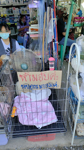 ตลาดประชารัฐ ค่ายจิรประวัติ - การบริการอาหารและที่พัก
