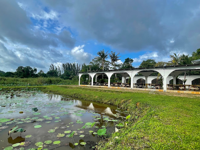 Comentarii opinii despre ครัวกันเกรา - หลัง ม.ราชภัฏภูเก็ต Gungrao Kitchen