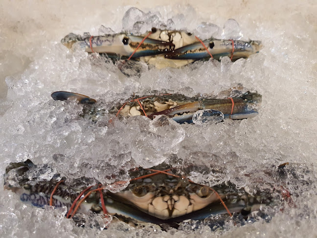 พิดโลกซีฟู้ด ทะเลเผา - การบริการอาหารและที่พัก