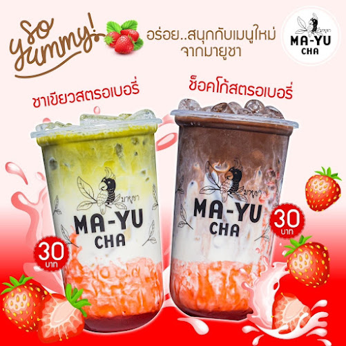 45 161 ตำบล บ่อผุด อำเภอเกาะสมุย สุราษฎร์ธานี 84320