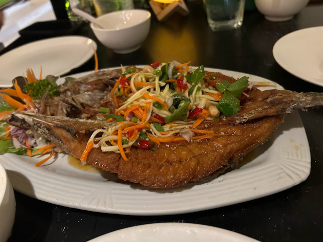 Comentarii opinii despre Sense of the sea