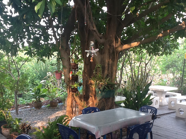 ครัวบ้านคุณปู่ - การบริการอาหารและที่พัก