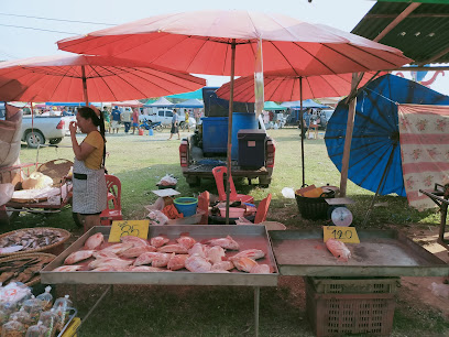 ช้างระยองปลาสด