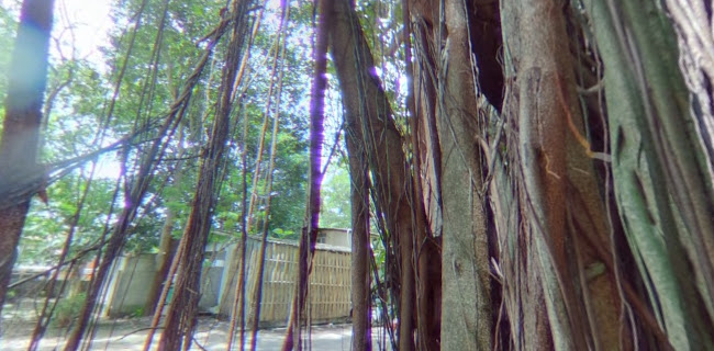 Blue Elephant - การบริการอาหารและที่พัก