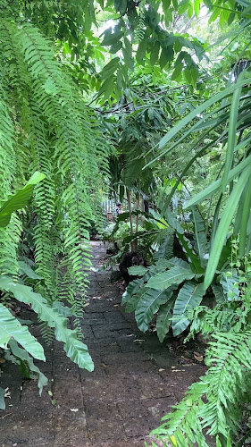 เฮือนคำ ก๋าแฟ ๒๕๕๙ - อำเภอเมืองพิษณุโลก