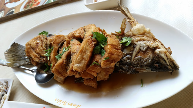 นิตยาไก่ย่าง สาขาแยกสะพานพระนั่งเกล้า