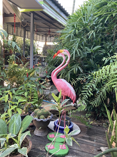 Rose Flower Coffee - การบริการอาหารและที่พัก