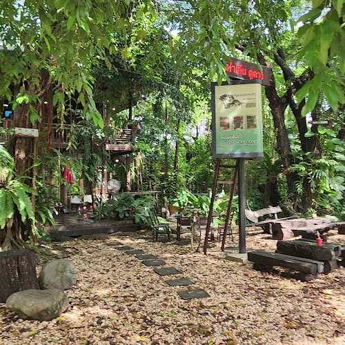 Opinii despre Pa Klang Mueang Café | ป่ากลางเมือง Café & Co-Working space în อำเภอเมืองขอนแก่น - การบริการอาหารและที่พัก