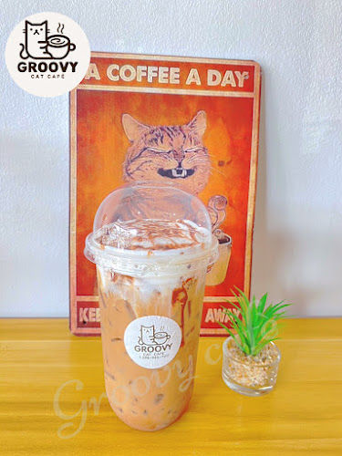 Groovy cat cafe ( coffee / tea / Breakfast/Pre Order Thai Dessert ) - เมือง