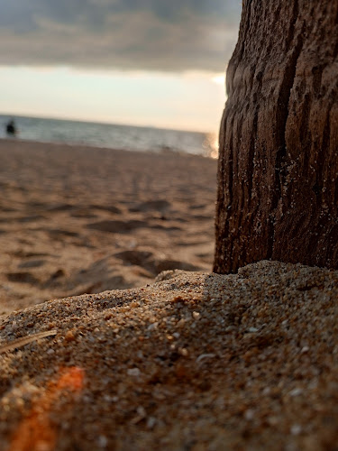 Opinii despre ล้านคุณย่า เตียงผ้าใบ หาดจอมเทียน ล็อค 152 în อำเภอบางละมุง - การบริการอาหารและที่พัก