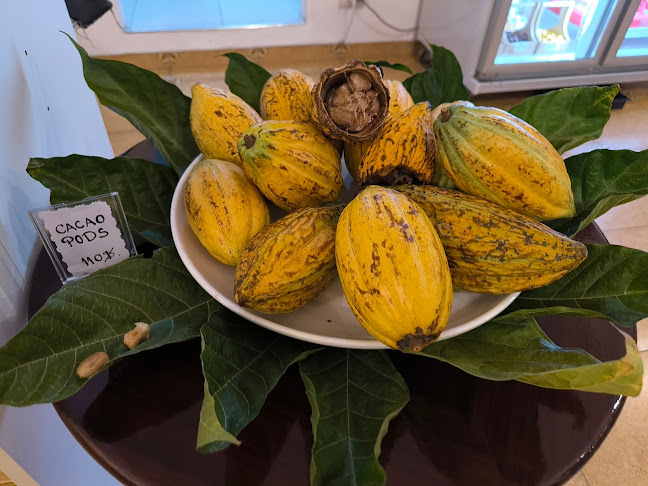 Barada Chocolate Factory - การบริการอาหารและที่พัก