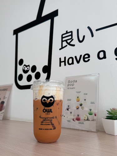 owl cha สนามจันทร์