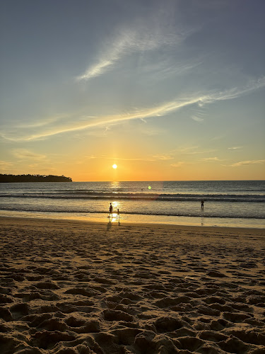 Comentarii opinii despre Beach Pig