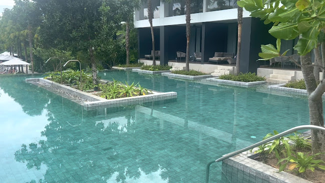 Stay Green Café - การบริการอาหารและที่พัก