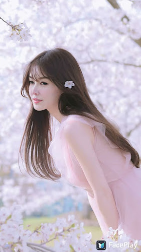 สไมล์แลนด์ พัทยา สตรีทฟู้ด มาร์เก็ต - การบริการอาหารและที่พัก