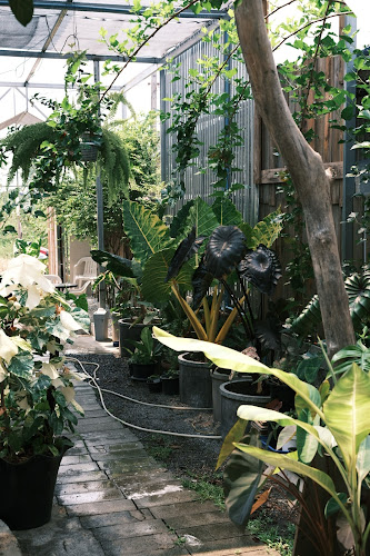 Comentarii opinii despre Agape​ Coffee​ อากาเป้​ คอฟฟี่