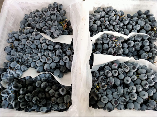 Opinii despre ร้าน คุณโบว์ ผลไม้ în อำเภอศรีราชา - การบริการอาหารและที่พัก