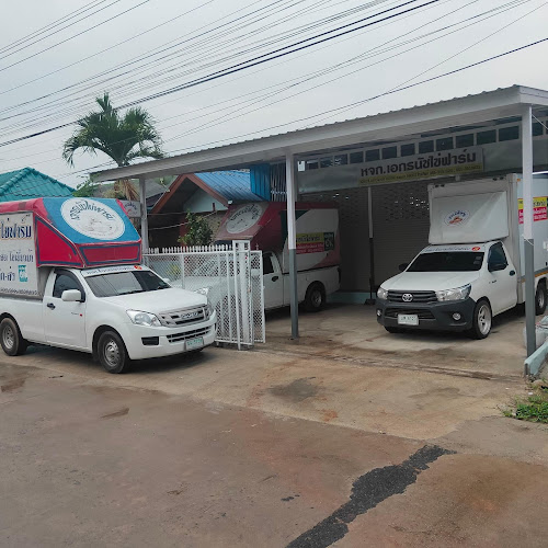 Comentarii opinii despre หจก.เอกธนัชไข่ฟาร์ม