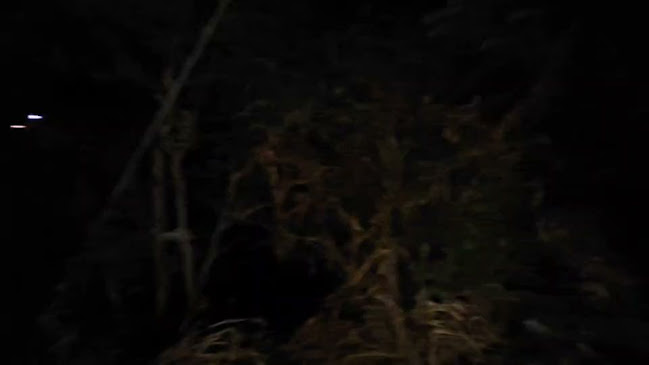 ตลาดโรงอวน