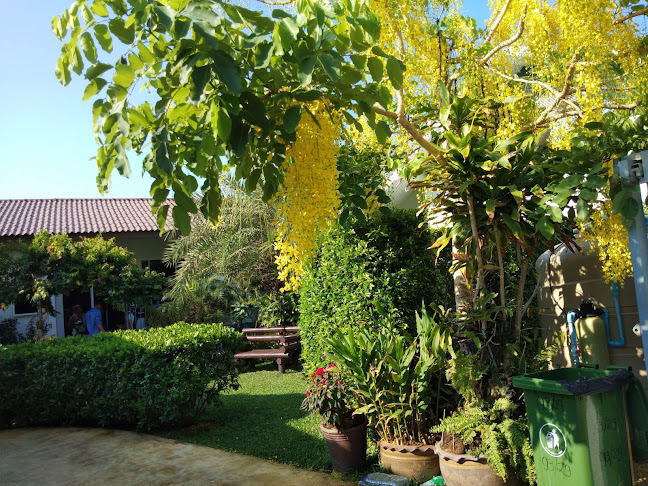 29, 46 ถนน วิเศษ ตำบล ราไวย์ อำเภอเมืองภูเก็ต ภูเก็ต 83130