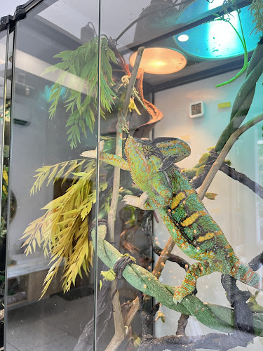 Tang Toh - การบริการอาหารและที่พัก