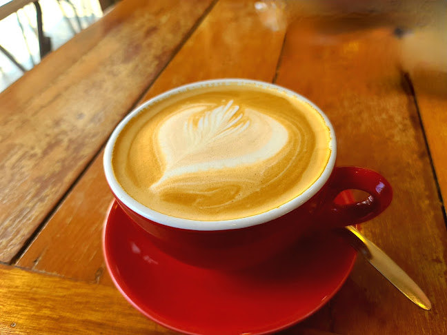 Comentarii opinii despre Freezy Cow