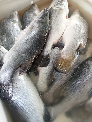 เจ้ย้อย อาหารทะเลสด - การบริการอาหารและที่พัก