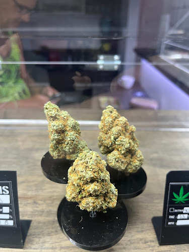 Opinii despre Bella Chao în Phuket - การบริการอาหารและที่พัก