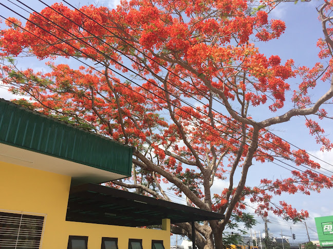 Comentarii opinii despre ร้าน Prin Coffee