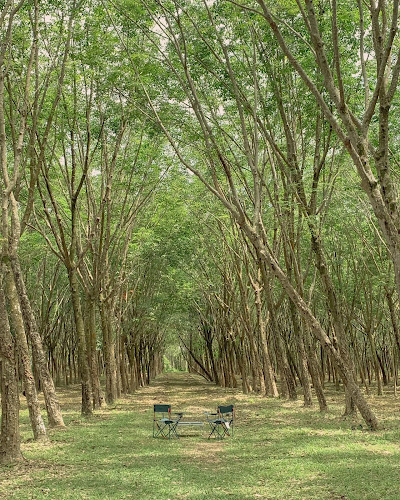 ซอย ปรารถนา ตำบล ฉลอง อำเภอเมืองภูเก็ต ภูเก็ต 83000