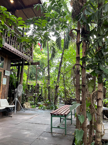 Pa Klang Mueang Café | ป่ากลางเมือง Café & Co-Working space