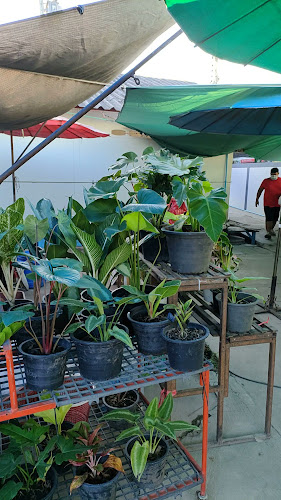 ตลาดประชารัฐ ค่ายจิรประวัติ - การบริการอาหารและที่พัก