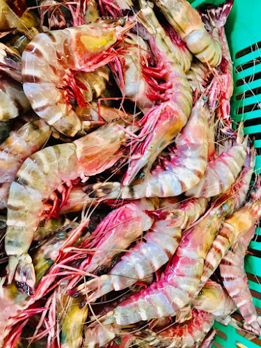 Longseafood / หลงซีฟู้ด - การบริการอาหารและที่พัก