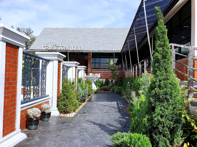 Comentarii opinii despre Café Amazon