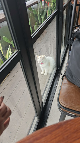 Folk Café Phuket - การบริการอาหารและที่พัก