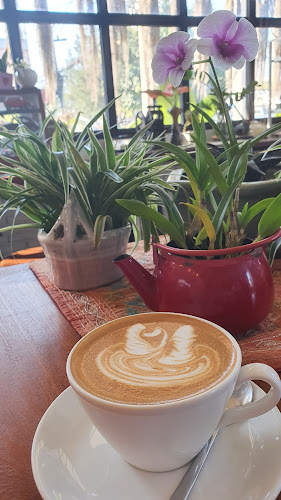 369 ถ. พหลโยธิน แม่ต๋ำ อำเภอเมืองพะเยา พะเยา 56000