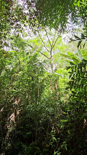 บ้านสวนลุงรงค์ Suan Lung Rong. Cafe'and restaurant - อำเภอเมืองภูเก็ต