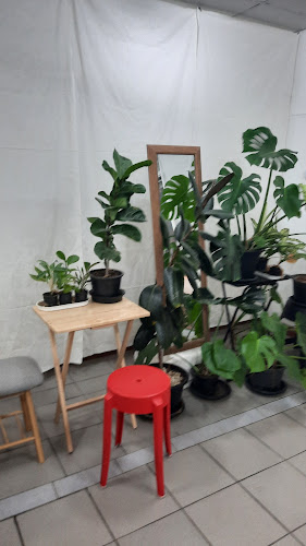 Sunset Gelato แสนสำราญ - การบริการอาหารและที่พัก