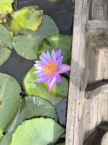 ร้านเค้ก๙หน้า ณ ตลาดทุ่งบัวแดง - การบริการอาหารและที่พัก