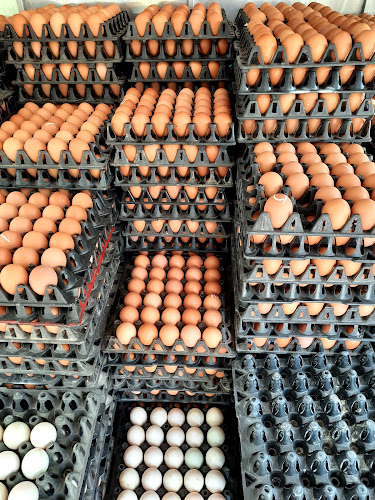 100 315 ซ. 22 ม ตำบล บางคูรัด อำเภอบางบัวทอง นนทบุรี 11110