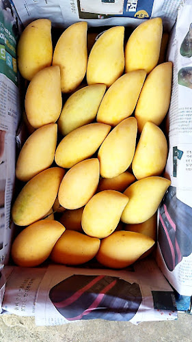 ทางหลวงชนบท ตำบลดอนทอง อำเภอเมืองพิษณุโลก พิษณุโลก 65000