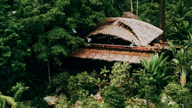 Comentarii opinii despre Three Monkeys Restaurant