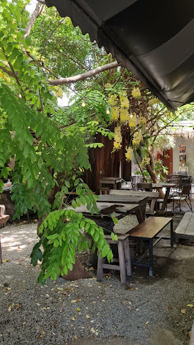 ชีวาคาเฟ่ - การบริการอาหารและที่พัก