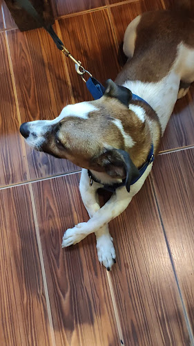 Comentarii opinii despre Easy Health