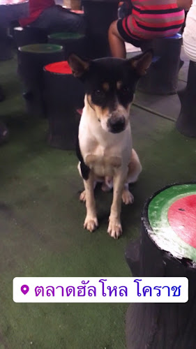 ตลาด บ้านเกาะ ฟลีมาร์เก็ต