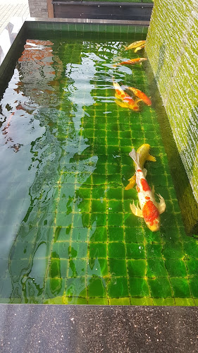 Sea Side Jomtien Beach Restaurant - การบริการอาหารและที่พัก